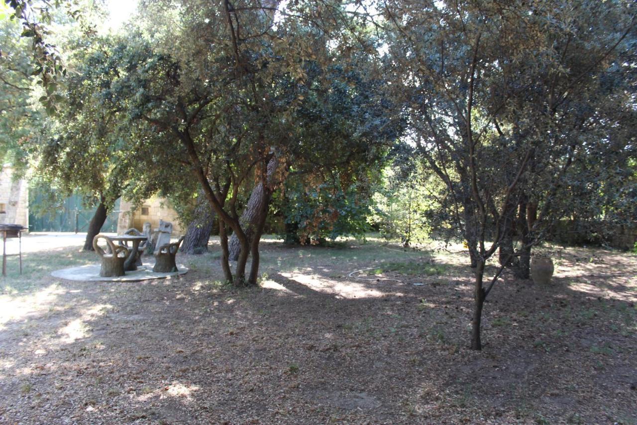 Le Mas De Lucien Entre Arles, Nimes, Avignon. บูแคร์ ภายนอก รูปภาพ