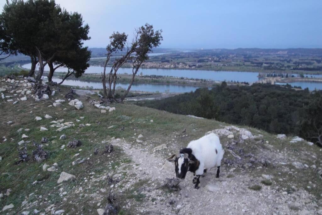 Le Mas De Lucien Entre Arles, Nimes, Avignon. บูแคร์ ภายนอก รูปภาพ