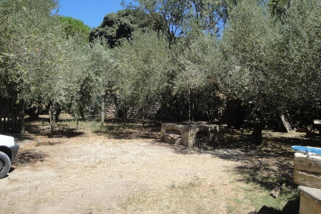 Le Mas De Lucien Entre Arles, Nimes, Avignon. บูแคร์ ภายนอก รูปภาพ